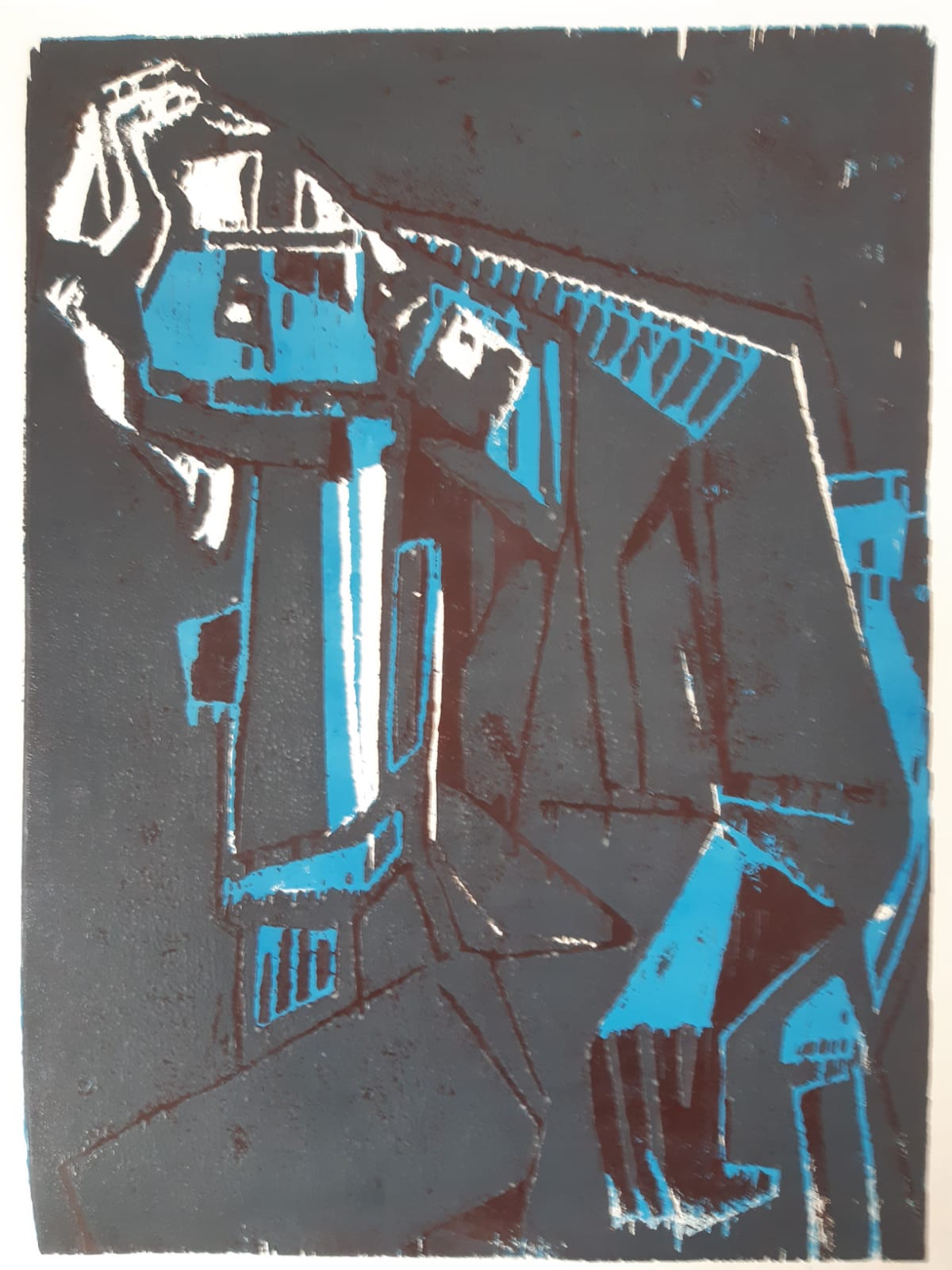 Sinnennder, dreifarbiger Holzschnitt, 1988, einer von 11 Drucken, Platten 58 x 43 cm., 130 €